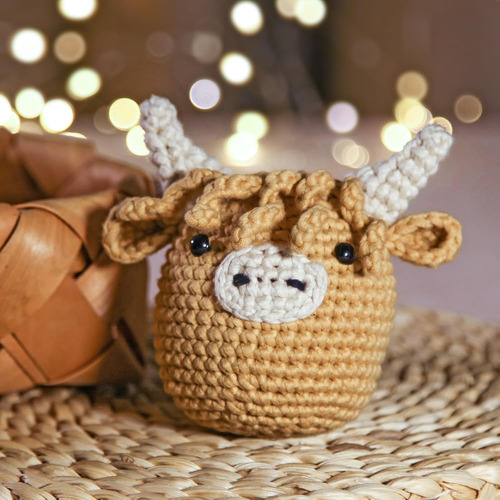 Kit De Crochet Para Principiantes: Hilo Suave Y Ganchos