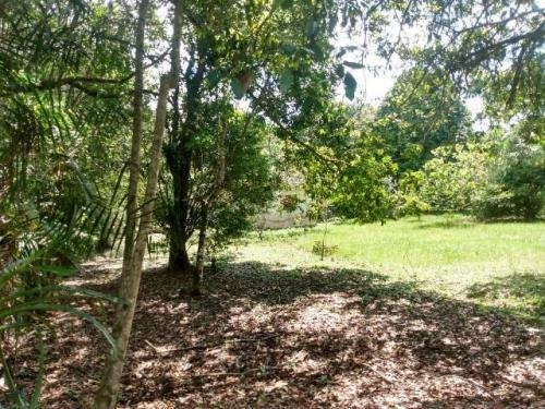 Chácara Na Praia De Itanhaém,confira! 7460 J.a