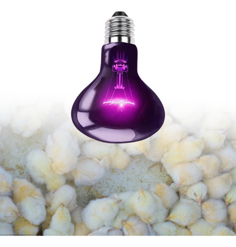 Lâmpada Noturna De Répteis, Lâmpada De Petro De 50w