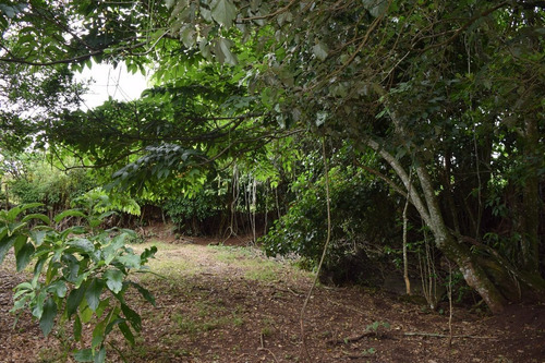 Imagen 7 de 14 de Lote Plano De 878 M2, 400m Al Este Del Lagar En San Isidro