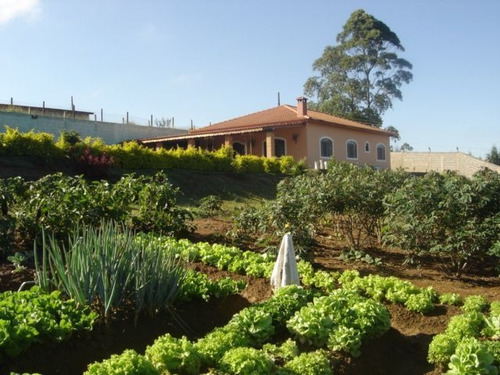 Chácaras - Ref: V970301