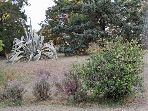 Casa En Venta En Chacras De Paysandú