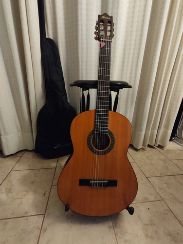 Guitarra Ibanez Modelo Ga3v 