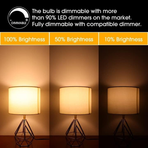 Ampolletas Vintage Esmeriladas Led E27 Luz Blanco Cálido X10