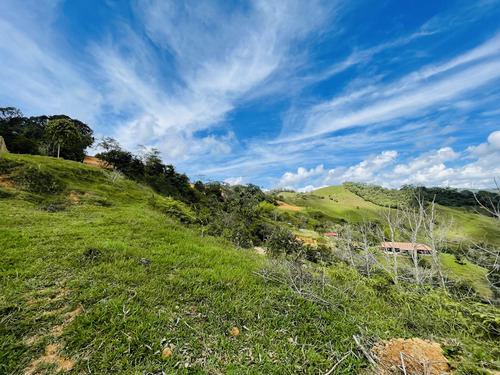 Venta Lote San Roque, Antioquia 