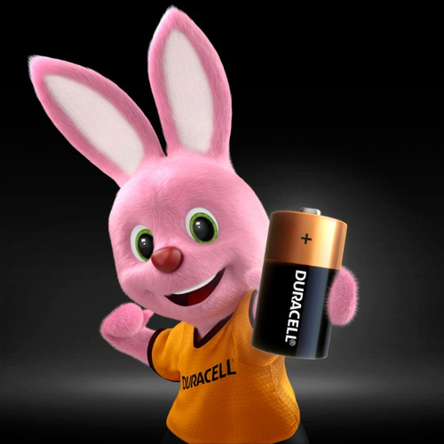 Imagen 6 de 8 de Pilas Duracell Alcalinas D Pack X2 Unidades | Css®