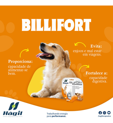 Hágil Pet Billifort Prevenção De Intoxicações Alimentares