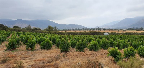 Imagen 9 de 19 de Parcela En Venta En Melipilla