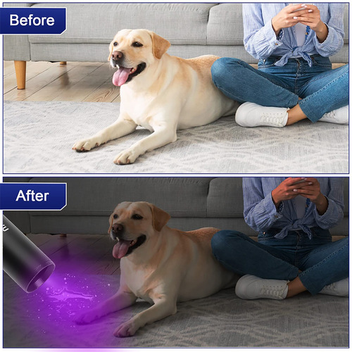Lanterna Uv De 365 Nm Lanterna Ultravioleta Para Cães De Est