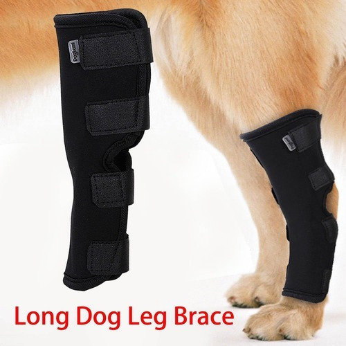 Soporte Para Piernas Para Perros, Codera Y Rodillera Para Ma