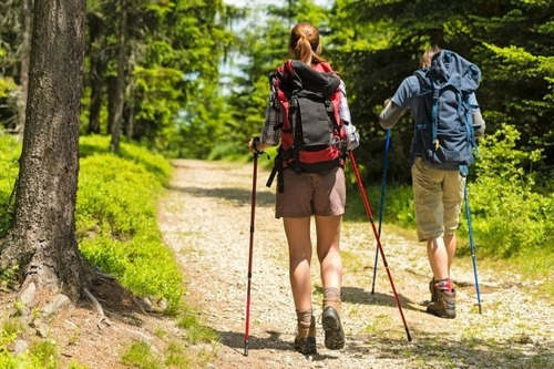 Imagen 4 de 10 de Baston Trekking Baston Montaña Ski Telescopic Alumin Plegabl