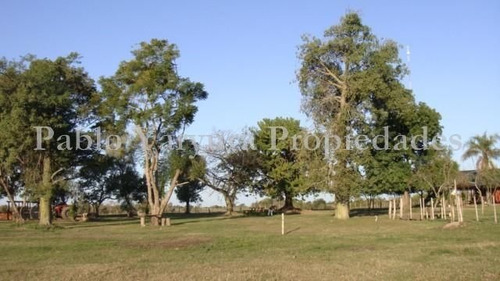 Campo En Venta En Esquina