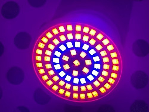 Lâmpada 80 Leds Todas As Plantas Cultivo Growroom E27 110v Cor da luz Full Spectrum