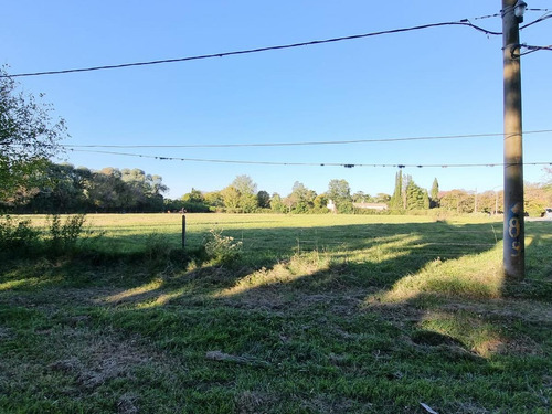 Imagen 2 de 6 de Terreno En Venta Funes Garita 13