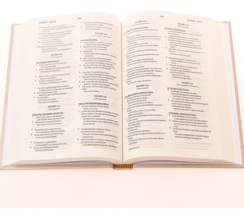 Imagen 5 de 10 de Biblia Nrv 2000 Act - Damas - Flores Vintage - Aces