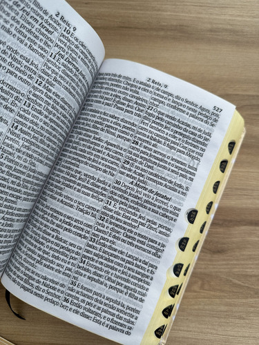 Bíblia A Menina Dos Olhos De Deus Com Índice Digital | Letras Grandes Evangélica Com Harpa - Arc