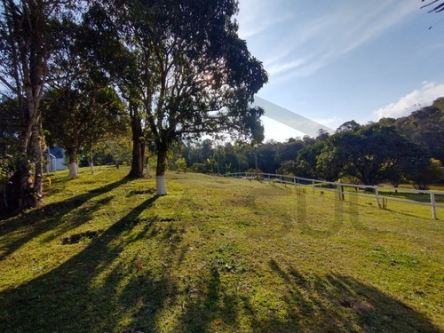 Imagem 18 de 30 de Exuberante Sítio Completo, Rico Em Água Com Nascente Própria, 02 Lagos Piscosos. Excelente Oportunidade!!! Localizado Em Juquitiba/sp - 27 - 32982809