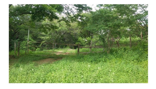 Imagen 14 de 14 de Guanacaste, Bagaces Vendo Finca. Financio El 70% Directo Sin Banco