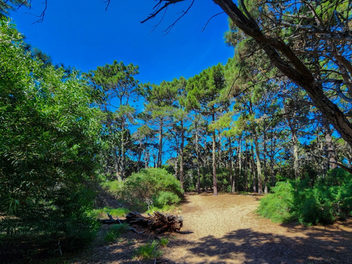 Lote En Venta En Costa Del Este