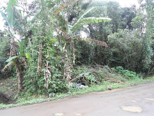 Imagem 1 de 6 de Terreno - Venda - Aguapeu - Itanhaem - Ita2591