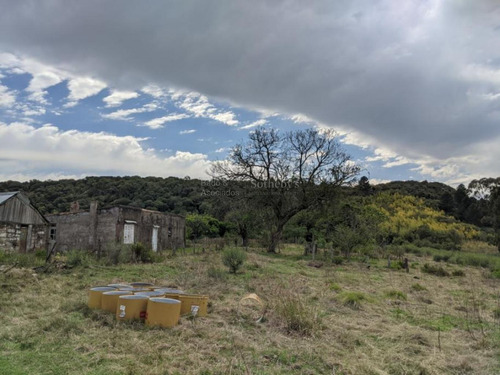 Chacra En El Departamento De Rivera
