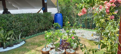 Imagem 3 de 18 de Casa 4 Quartos Condomínio Fechado, Avenida Priscila Dultra - Ca00199