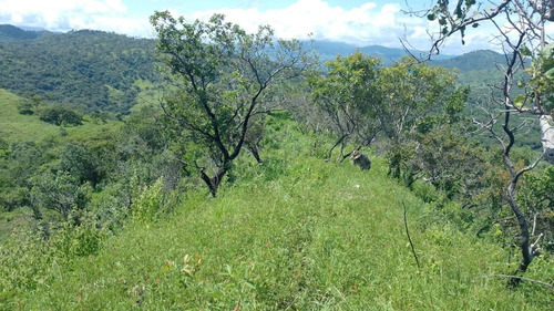 Oportunidad De Inversión En Chiapas: Rancho De 10 Hectáreas Con Documentación Al Día Y Plusvalía En Crecimiento