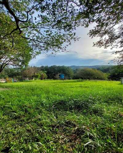 Imagem 27 de 30 de Chácara - Ch00967 - 70505240