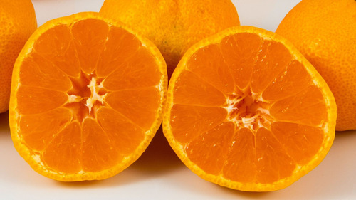 Mandarina Satsuma, Arbolito Injerto