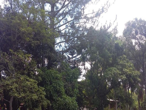 Chácara Venda Uirapuru Cosmópolis Sp. - Ch0040