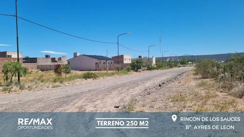 Terreno En - Venta - 250 M2  Ayres De Leon, R.d.s