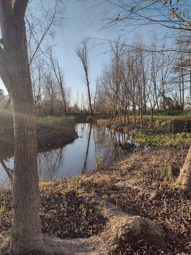 Lote Quinta Arroyo Ñacurutu Zarate