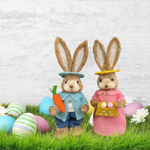 Dibujos Animados 2 Uds De Pascua De Paja Estilo H