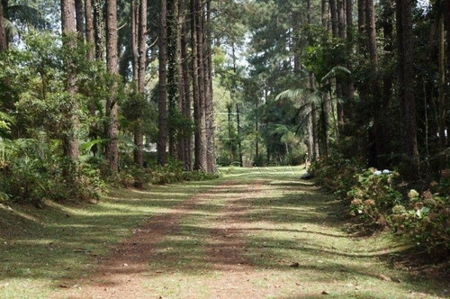 Imagem 5 de 5 de Chácara Para Aluguel, 83000.0m² - 15125