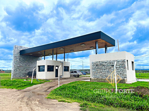 Imagen 3 de 26 de Terreno A La Venta En La Ernestina