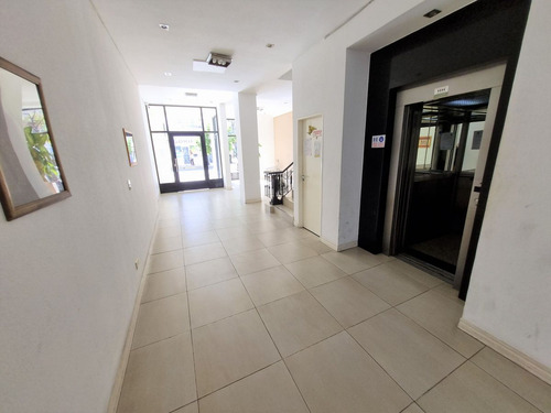 Alquiler Departamento 2 Ambientes Balcón Amenities