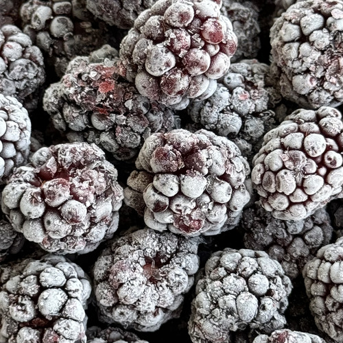 Mix Frutos Rojos (verano) Arándano-frutilla-zarza, 10kg