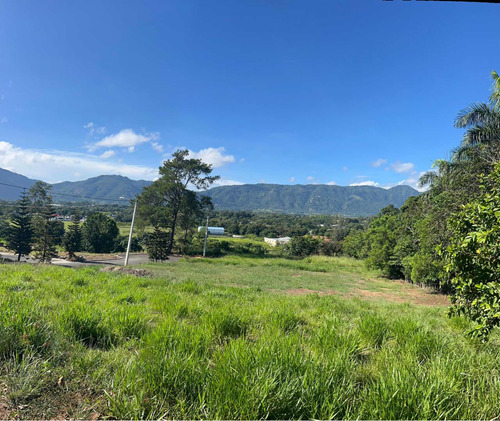 Solar Con Muy Buena Vista En Jarabacoa