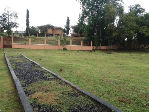 Imagen 5 de 14 de Venta De Terreno De 557 M2 En Ph Clayton Village 21-4521
