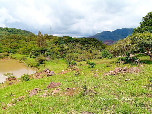 Increíble Terreno Con Manantial