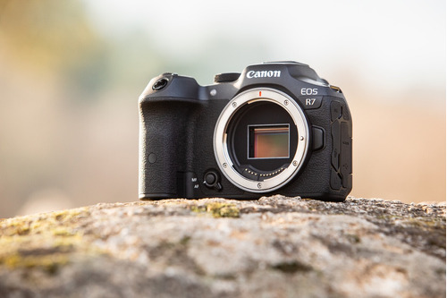 Camara Canon R7