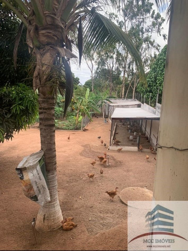 Imagem 14 de 26 de Granja A Venda Ceara Mirim