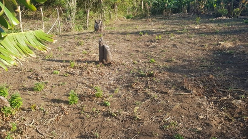 Imagen 9 de 30 de Se Vende Terreno Favorable Con Agua Y Luz Y Casita