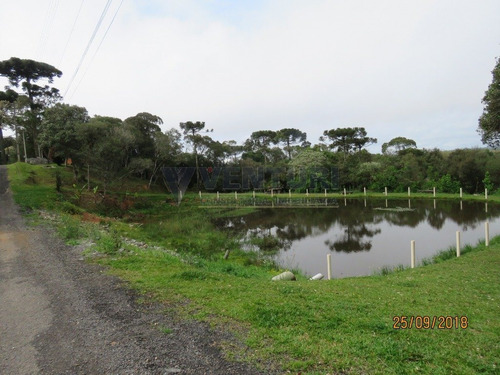 Imagem 9 de 15 de Chacara - Campina - Ref: 2046 - V-2046