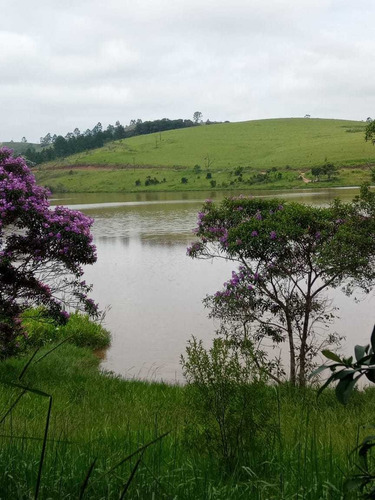 Imagem 4 de 14 de F15 - Lotes De 10.000mts Direto Com O Proprietario