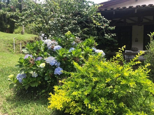 Imagem 10 de 16 de Excelente Sitio Em Itapecerica Da Serra, Área Comercial E Com Plantio De Eucalipto. - 122 - 69234465