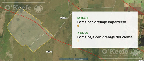Imagen 24 de 27 de Campo De 600 Has En Venta En Gualeguaychu - Muy Buen Campo Ganadero De 0,7 Ev/ha Con Casco