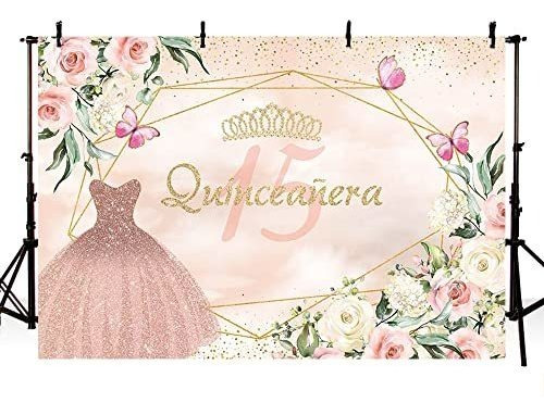 Mehofond Quinceañera 15th Birthday Backdrop Pink P1g93