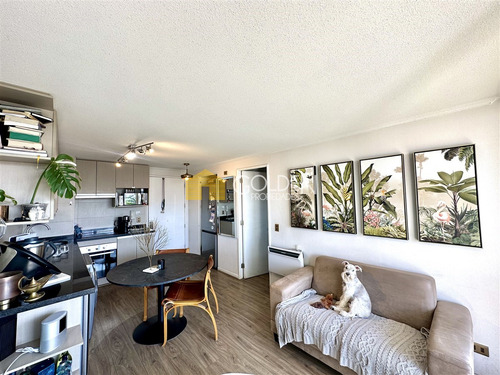 Venta Departamento Ñuñoa U Católica 1 Dormitorio Vista Libre