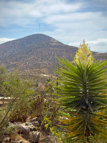 Vendo Parcela Con Amplia Casa Valle Del Elqui (95625)